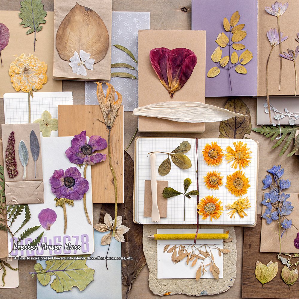 Cangoroo_global's tweet image. 🌸 Flower Class Recommendations 🌸

🕯 Flower Candle Class
 🌹 Floral Arrangement Class
 🌼 Pressed Flower Art Class
 🍰 Flower Cake Making Class

For more information, visit Cangoroo -🌟

#flowerclass #onedayclass #flower #seoul #koreatrip