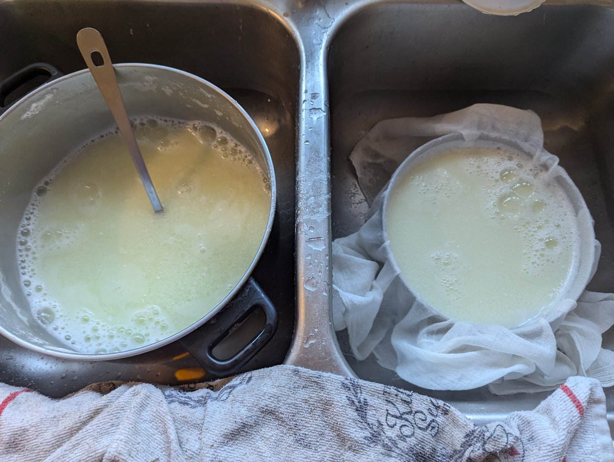 cgillespie62's tweet photo. Goat milk ricotta https://t.co/YoLPA3pYJ0