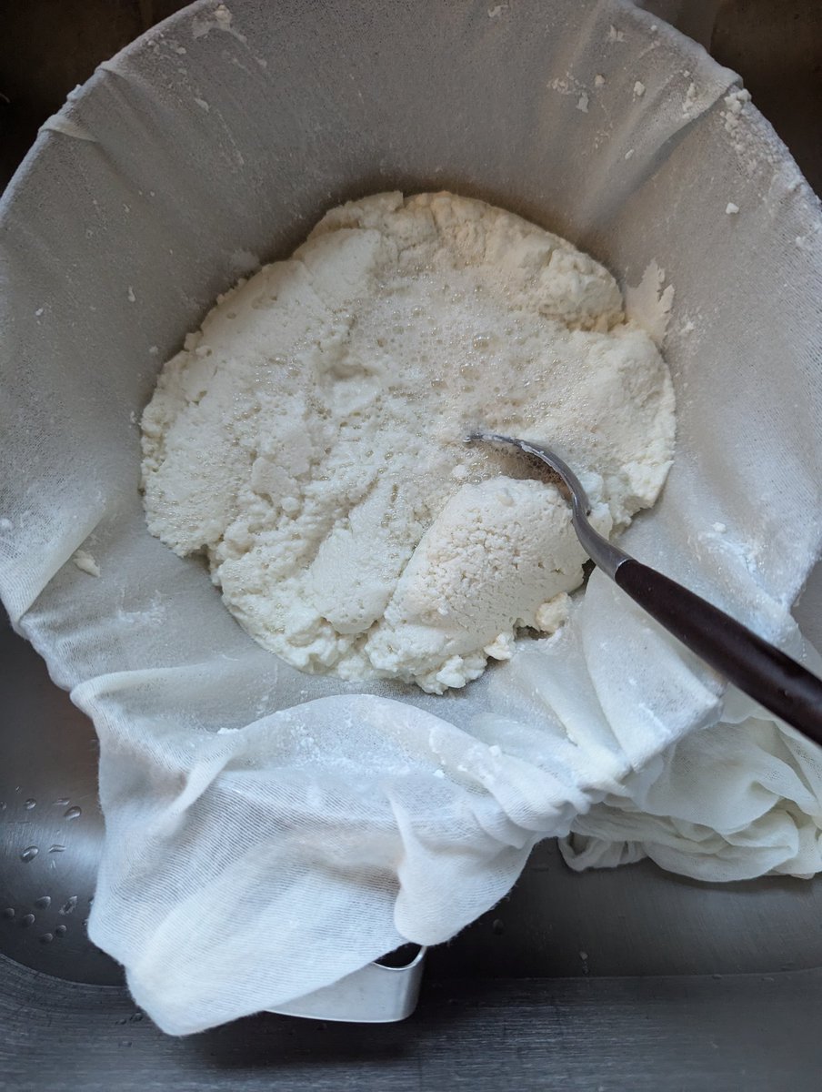 cgillespie62's tweet photo. Goat milk ricotta https://t.co/YoLPA3pYJ0