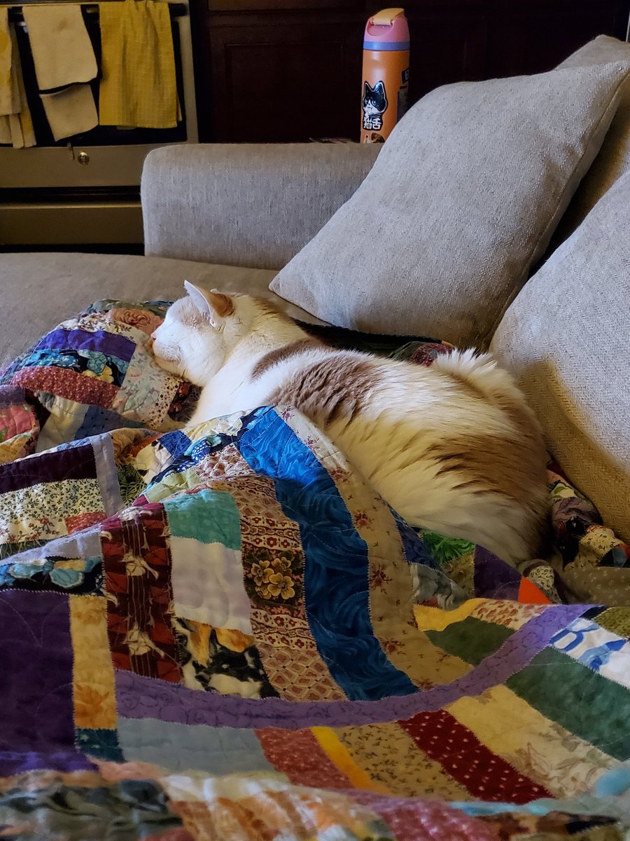 morgueline tweet media