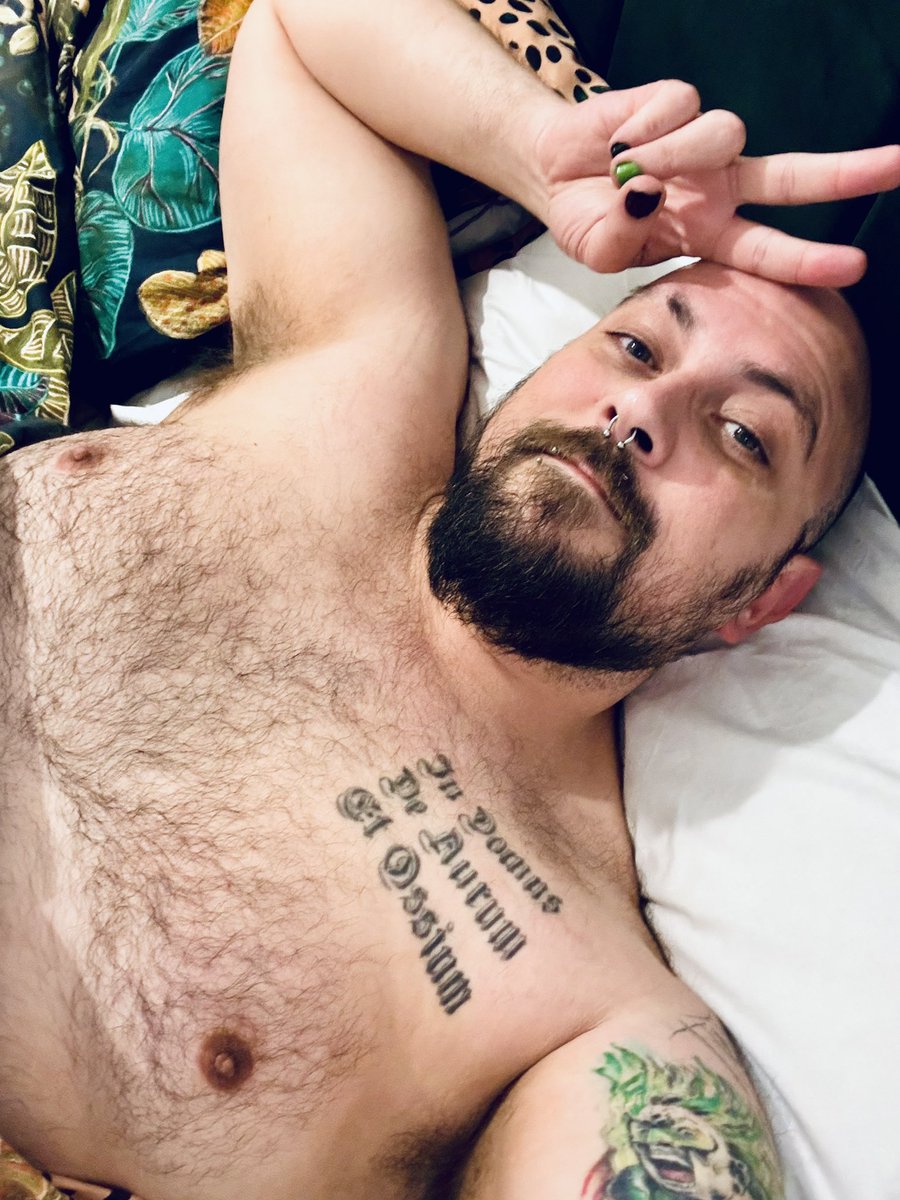 nwbear88's tweet photo. Night night Twitter people https://t.co/KWtTuaWqgc