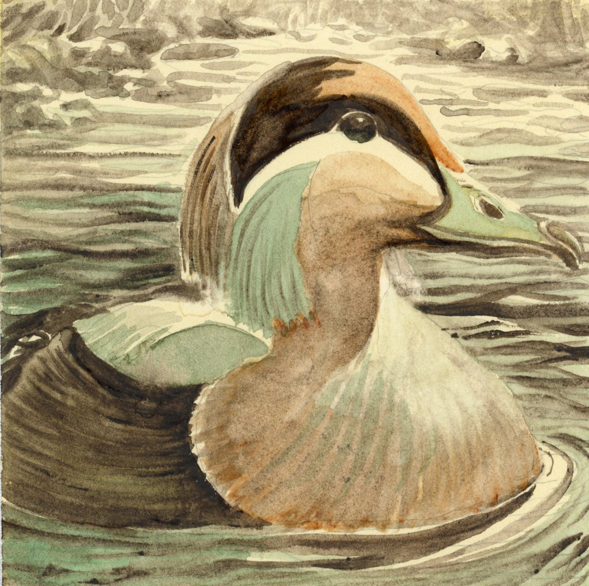 LifeImitatesDdl's tweet image. #DoodlewashNovember2024 prompt: Coins.
Did you know in French, ducks say ‘coin, coin’, which is pronounced ‘&apos;kwan kwan’? Aren&apos;t I being tricky today? Paul Rubens Floral set watercolor on #Hahnemühle Collection Hot Press.
#paulrubensart #paulrubenswatercolor @hahnemuehle_global