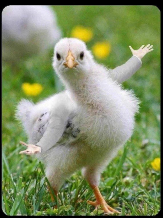 Wanangu wa BACK BENCHA naomba mnitajie REDIO zenye vipindi vizuri vya Michezo asubuhi hii nataka kusikiliza