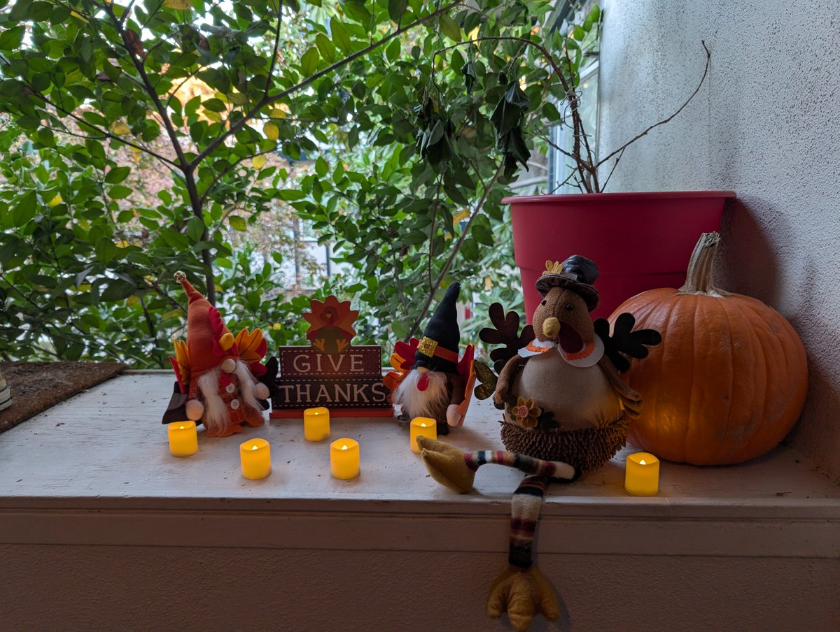 gijane7702's tweet image. We celebrate the forgotten holiday in this house. #Thanksgiving #thereisaholidaybetweenHalloweenandChristmas (#intheus)