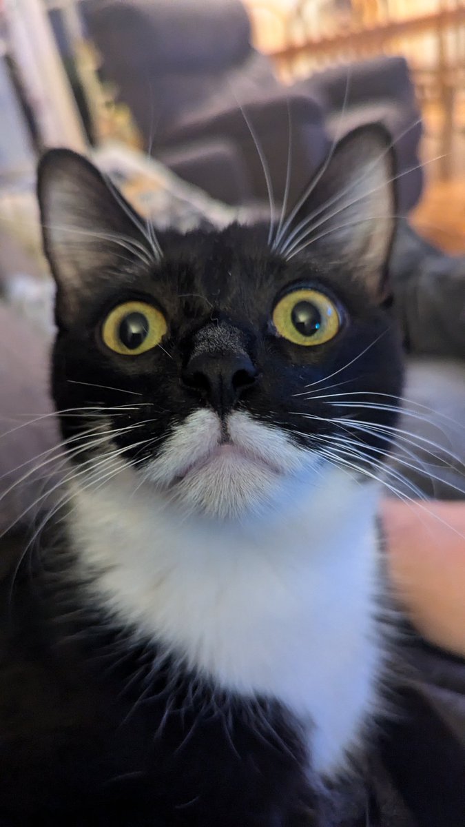 Zott (@greatzott) on Twitter photo 