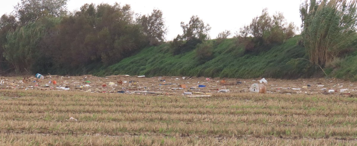 L'Albufera ha laminado la avenida recibiendo una monumental cantidad de aguas contaminadas, lodos y toneladas de basura por toda la marjal. Cuando se cubran las necesidades de las personas tocará prepararnos para un COMPLETO Y PROFUNDO RESETEO DEL PARQUE NATURAL.
#DANA #Albufera