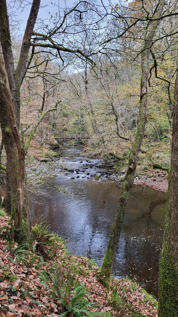 Slayerfan85's tweet photo. #waterfall #waterfallcountry #wales #waterfalls #autumn #autumnal #naturephoto #NatureCalm #naturefreak #NaturePhotography https://t.co/VPmsAD5hUj