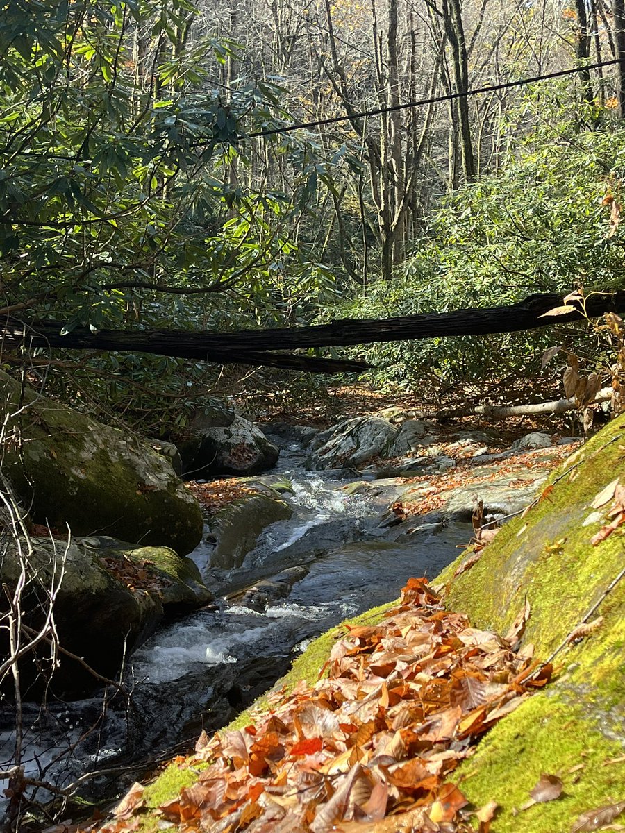 Got a nice 3 day weekend away from the field