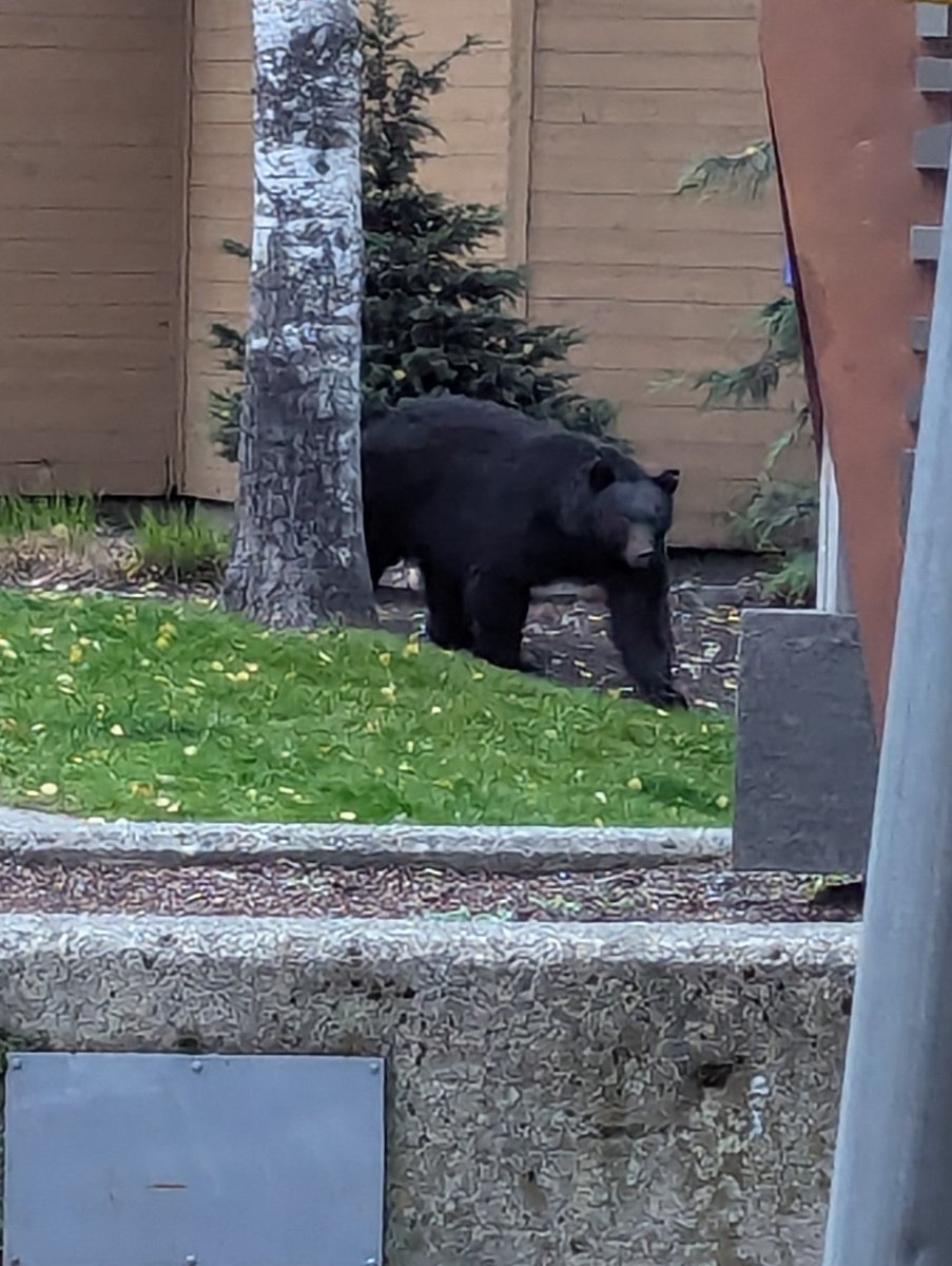 mars🦑 tweet media