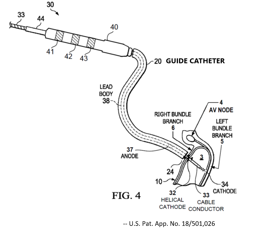PacemakerPatientAdvo tweet media