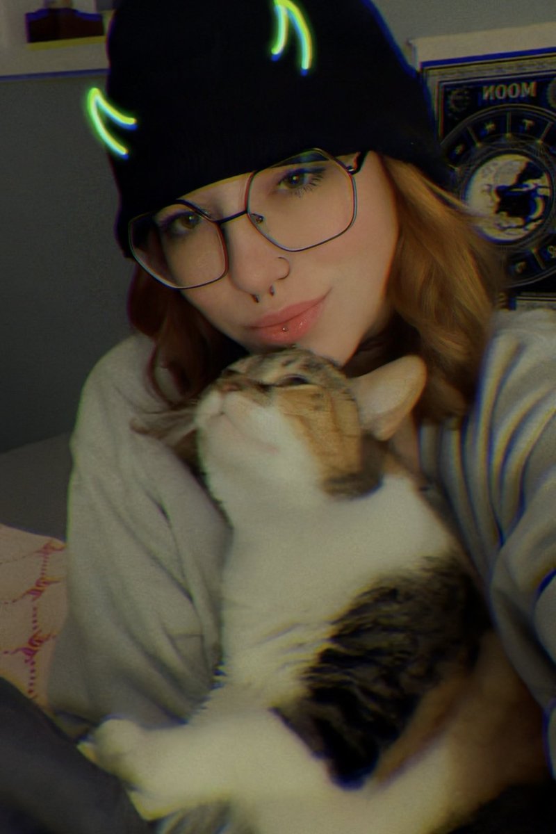 clover /ᐠ - ˕ -マ tweet media