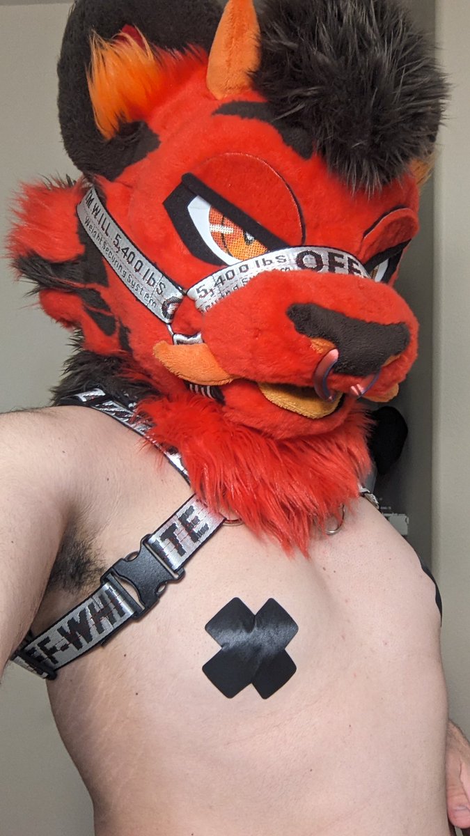 Trashy Tiger Whore🔜 LVFC,FWA tweet media