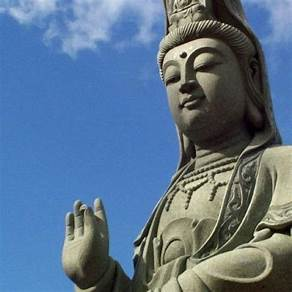 namutyan's tweet photo. 太陽　地球に　水　空気
そして　私のこの身体
大きな恩ほど　気づかない
https://t.co/QQ7HUwq1cg