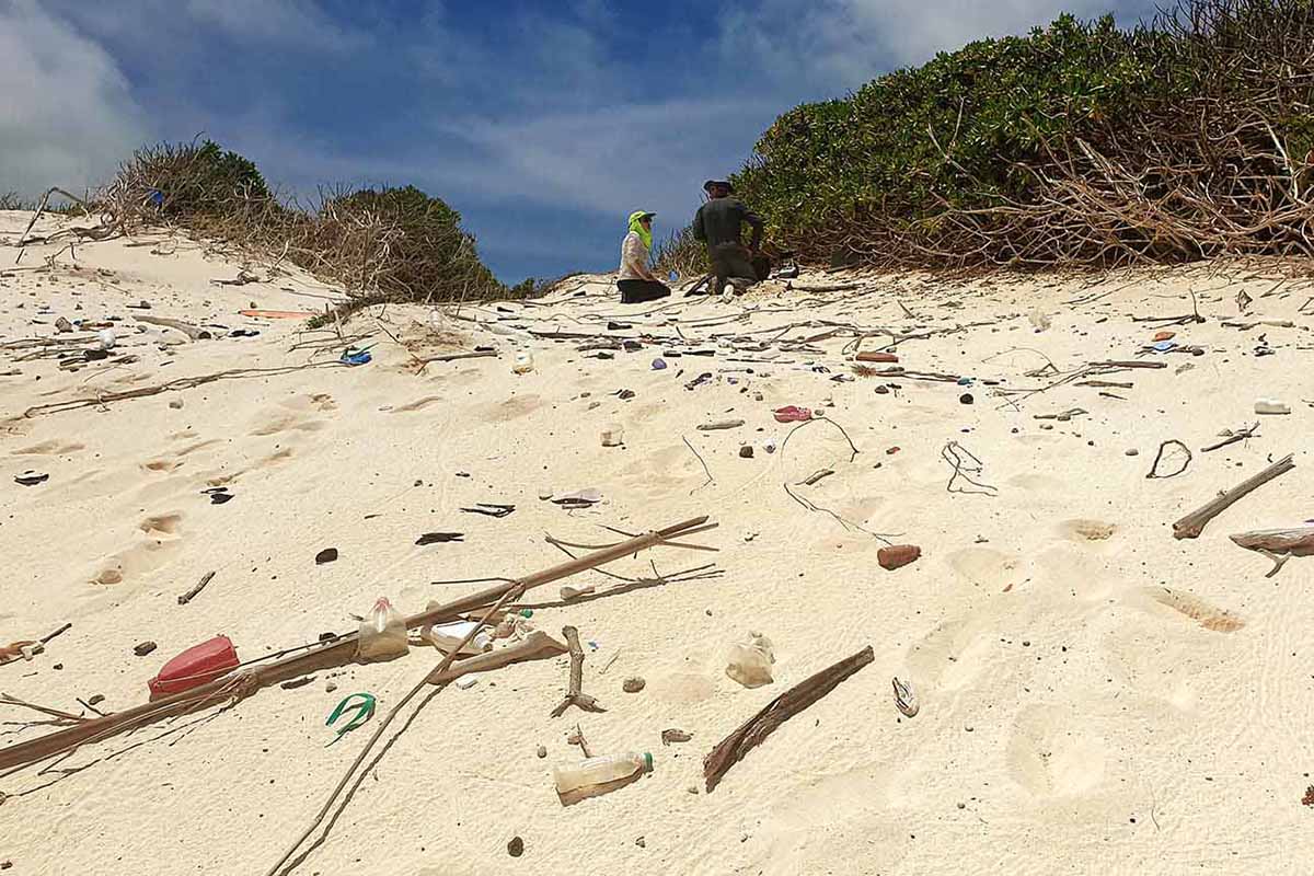 #Plastic on #beaches can now be seen from space> bit.ly/3CzL6tn