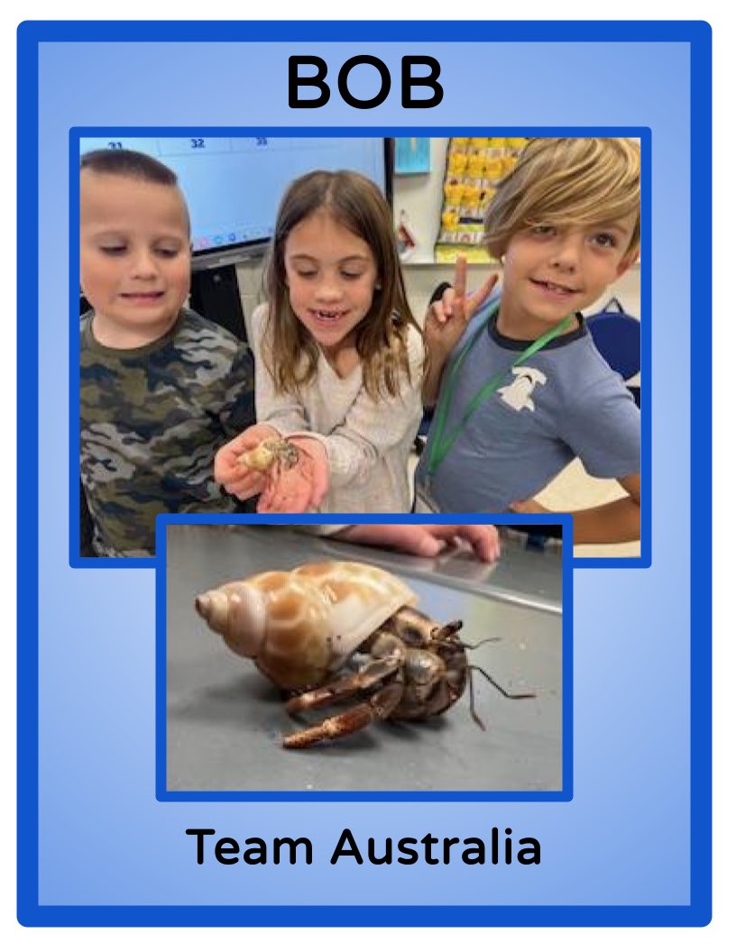 KiserClass's tweet image. Introducing: Bob
Bob is always up for an adventure. He is social, curious, and on the move. #MakeTimeForScience #ObservingChange #PBL #STEM #OnceAMiddie