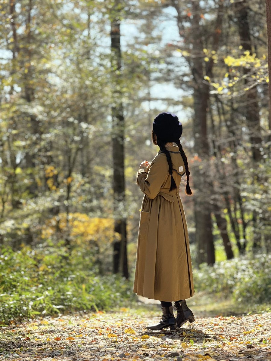 白鳥舎 (@hakuchosya) / Posts / X