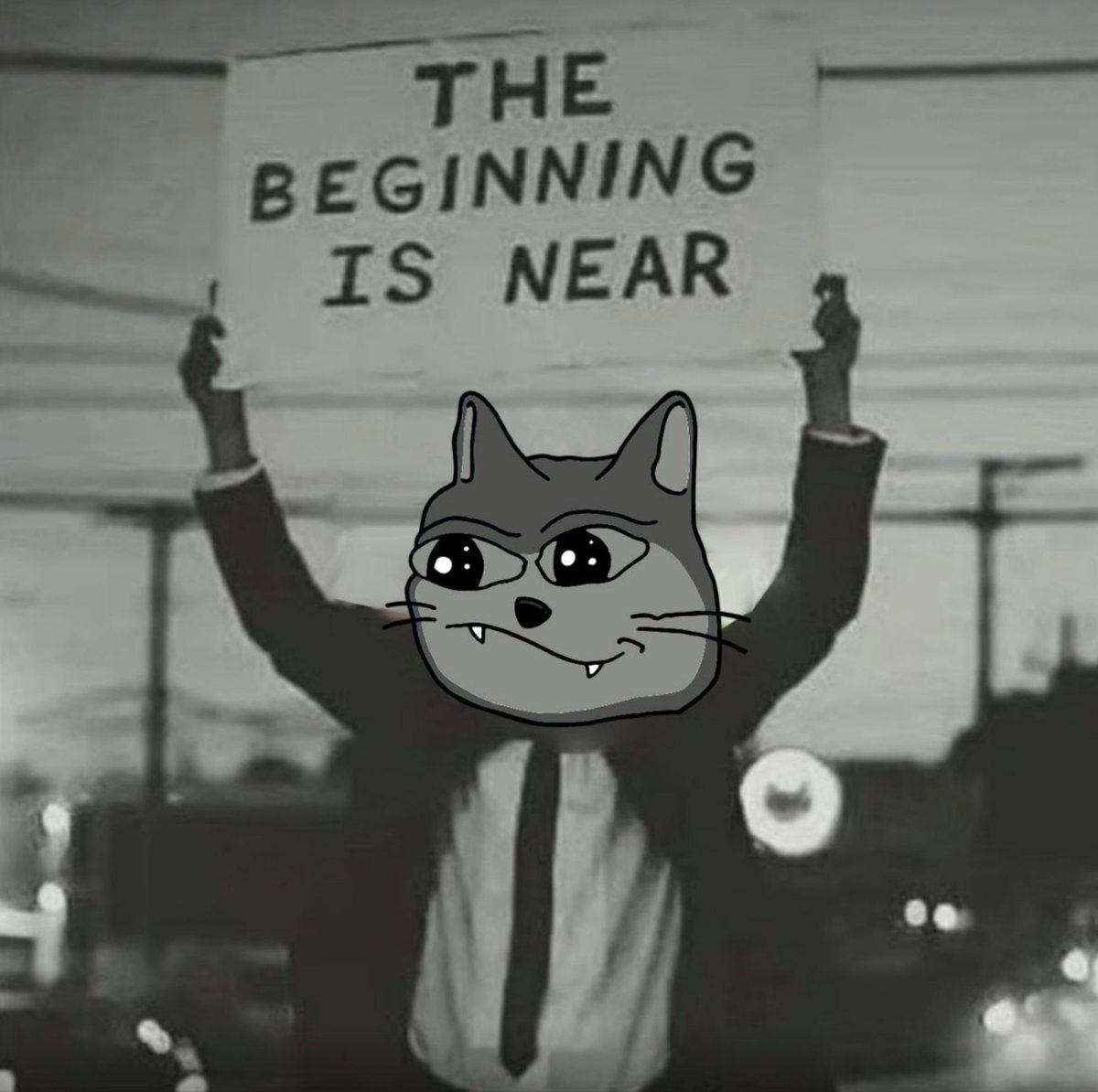 lolcat tweet media