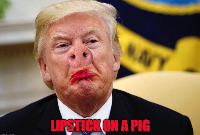 Mimict104's tweet photo. @TheJohnFeal9117 @realDonaldTrump https://t.co/iASPOlJff5
