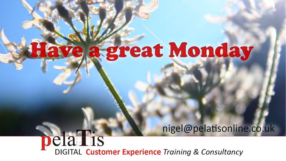 Nigel T Packer - Digital Customer Experience tweet media