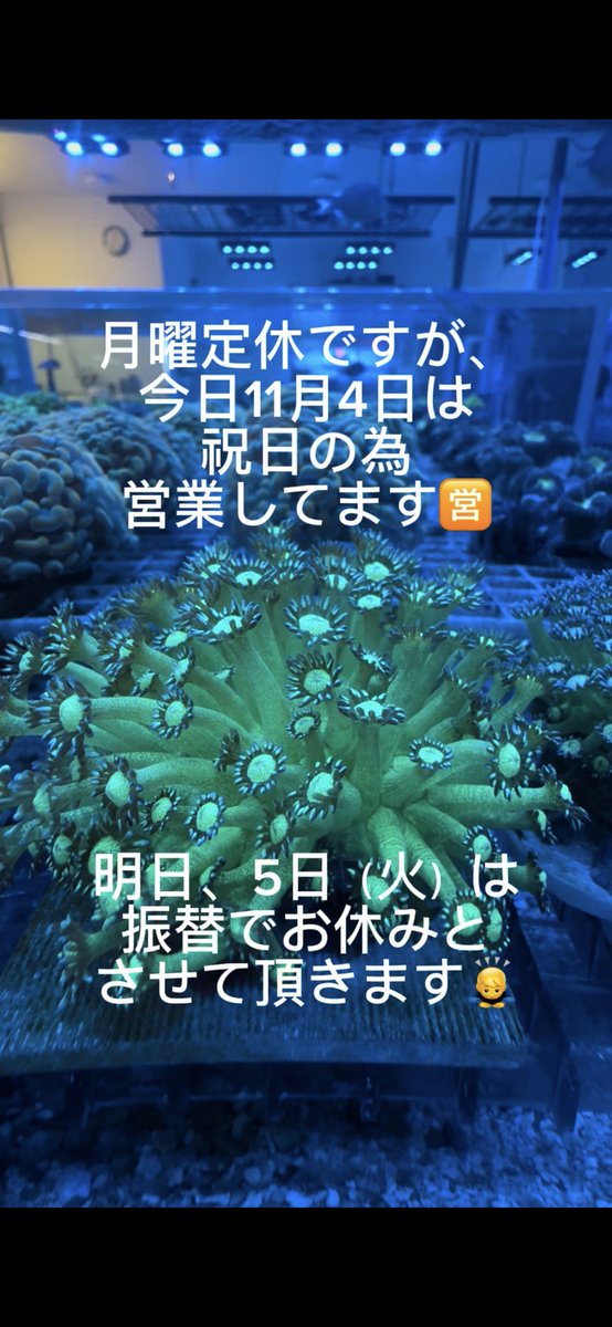 月曜定休ですが、本日11月4日は祝日の為営業してます🈺
明日11月5日（火）は振替でお休みさせて頂きます🙏
