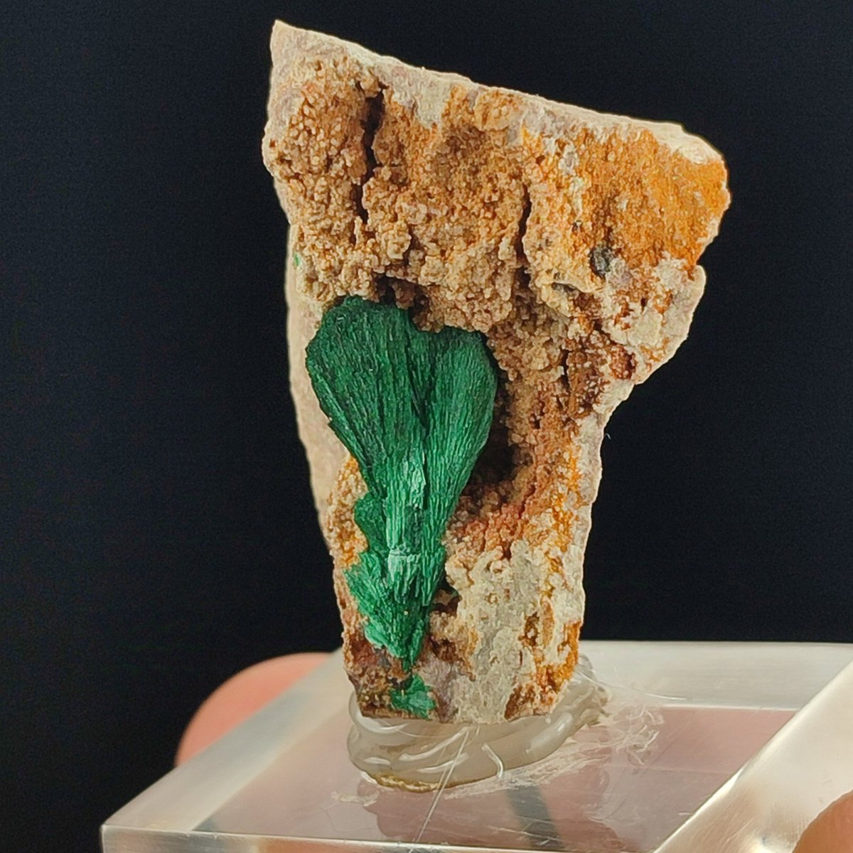 🌍✨ Discover a gem from Morocco! Presenting a stunning Fibrous Malachite specimen, 4x2x4 cm &amp; 35g, straight from Kerouchen 🇲🇦. A unique, deep green mineral that’s a must-have for collectors! 💚💎
🎁 Free Worldwide Shipping! 🌐 Shop now on Etsy: [cristalprince.etsy.com/listing/181917…]