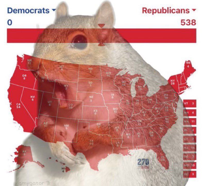 basedamericana's tweet photo. @Geiger_Capital Peanut disagrees https://t.co/qhycMLVFEa