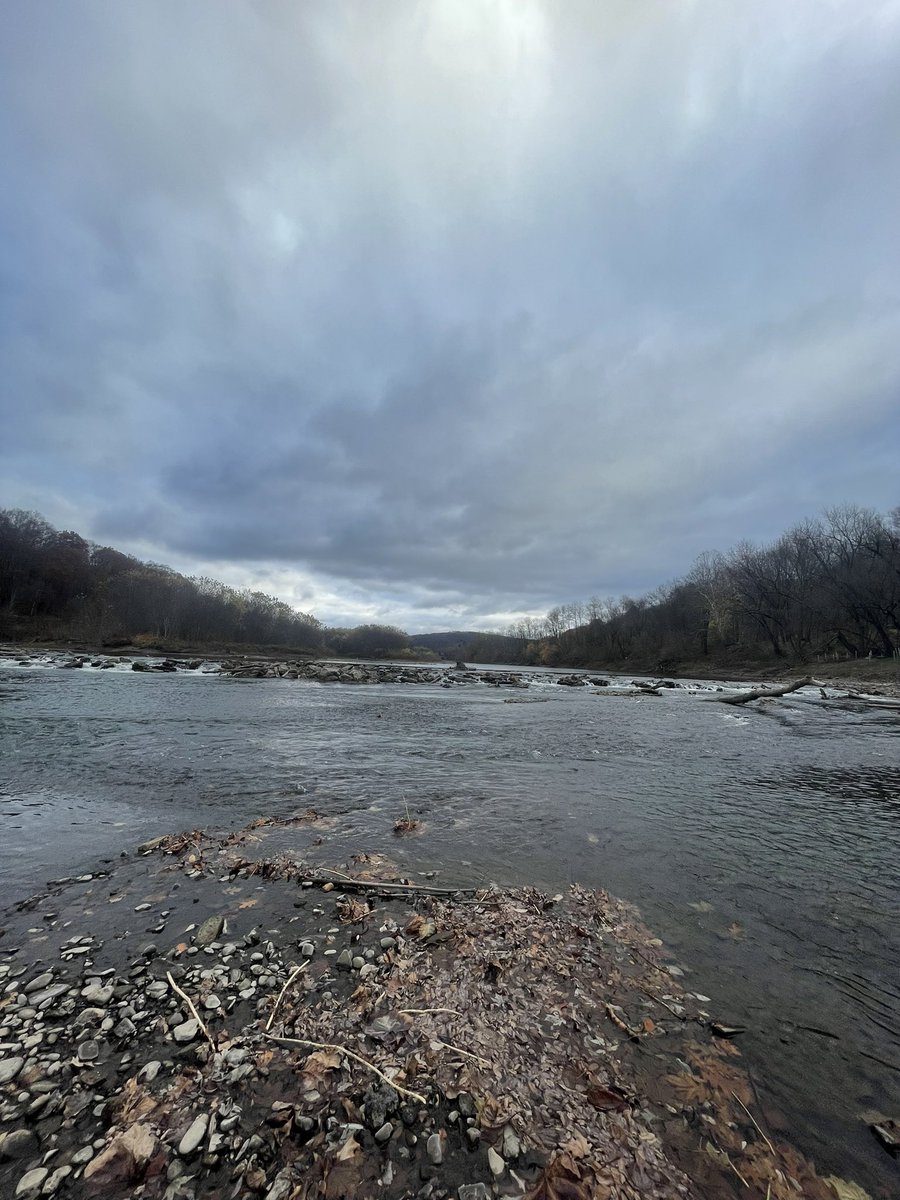 FrumpyWord04731's tweet image. 