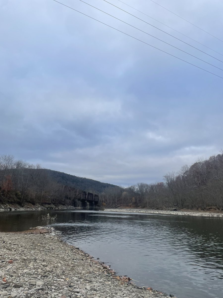 FrumpyWord04731's tweet image. 