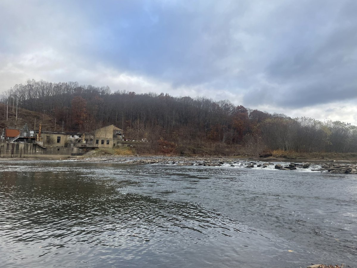 FrumpyWord04731's tweet image. 