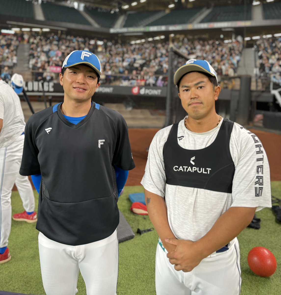 送料無料 未開封 北海道 日本ハムファイターズ 推しペア