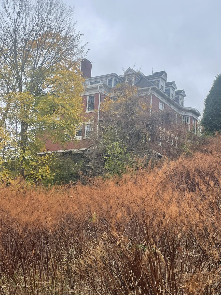 FrumpyWord04731's tweet image. 