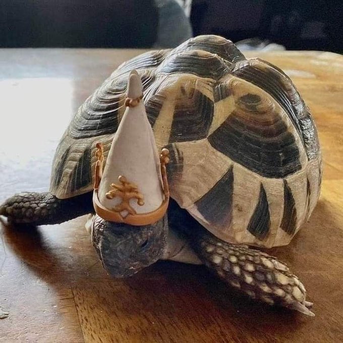 chosen undead (@chosenundeadone) on Twitter photo 