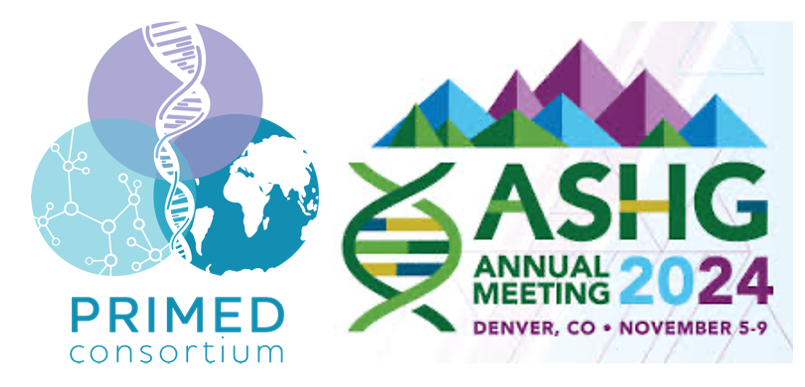 It's PRIMED time at #ASHG24! Those traveling to Denver this week, come check out posters, talks, and other sessions from @PRSdiversity investigators working to improve genetic risk prediction in diverse ancestry populations docs.google.com/spreadsheets/d…