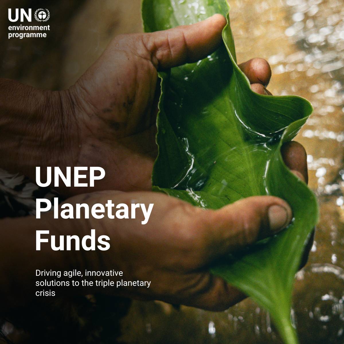 Two years since their inception, what have the UNEP Planetary Funds achieved? From supporting entrepreneurs to conserving peatlands, the funds are driving solutions across the planet.
‌
Read the first impact report here: unep.org/about-un-envir… #PartnersForPlanet