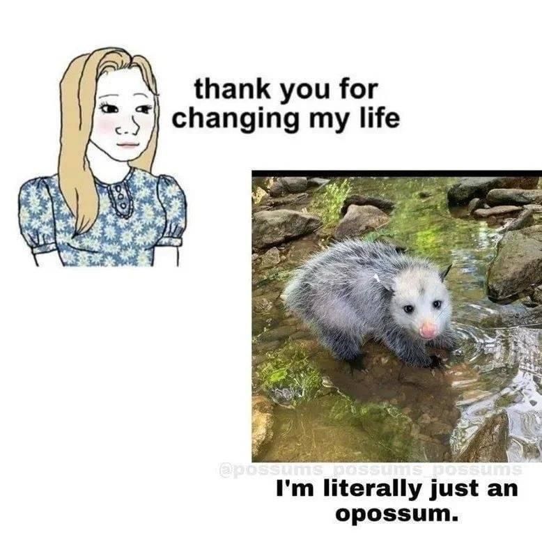 Snaggletooth Screamer tweet media