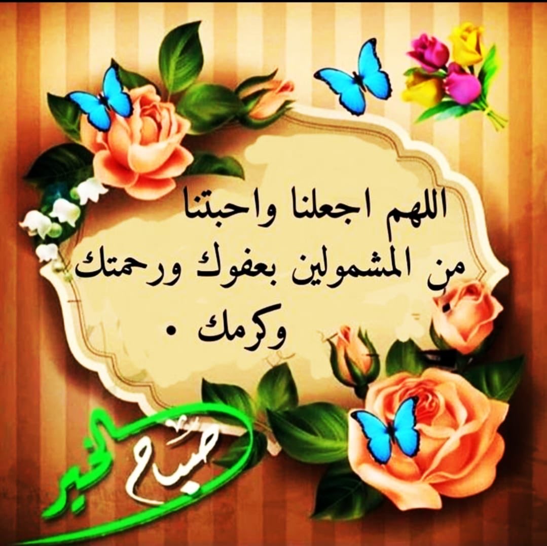 نوره (@jonatsbarbo) on Twitter photo 