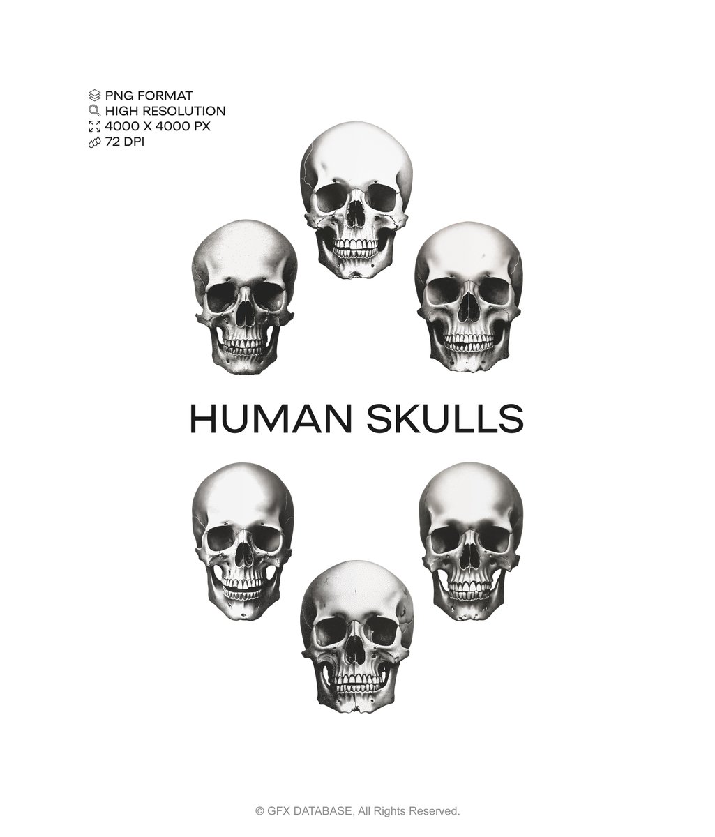 gfxdatabase's tweet image. Human Skulls, 💀 Now available online!
gfxdatabase.com/shop/p/human-s…