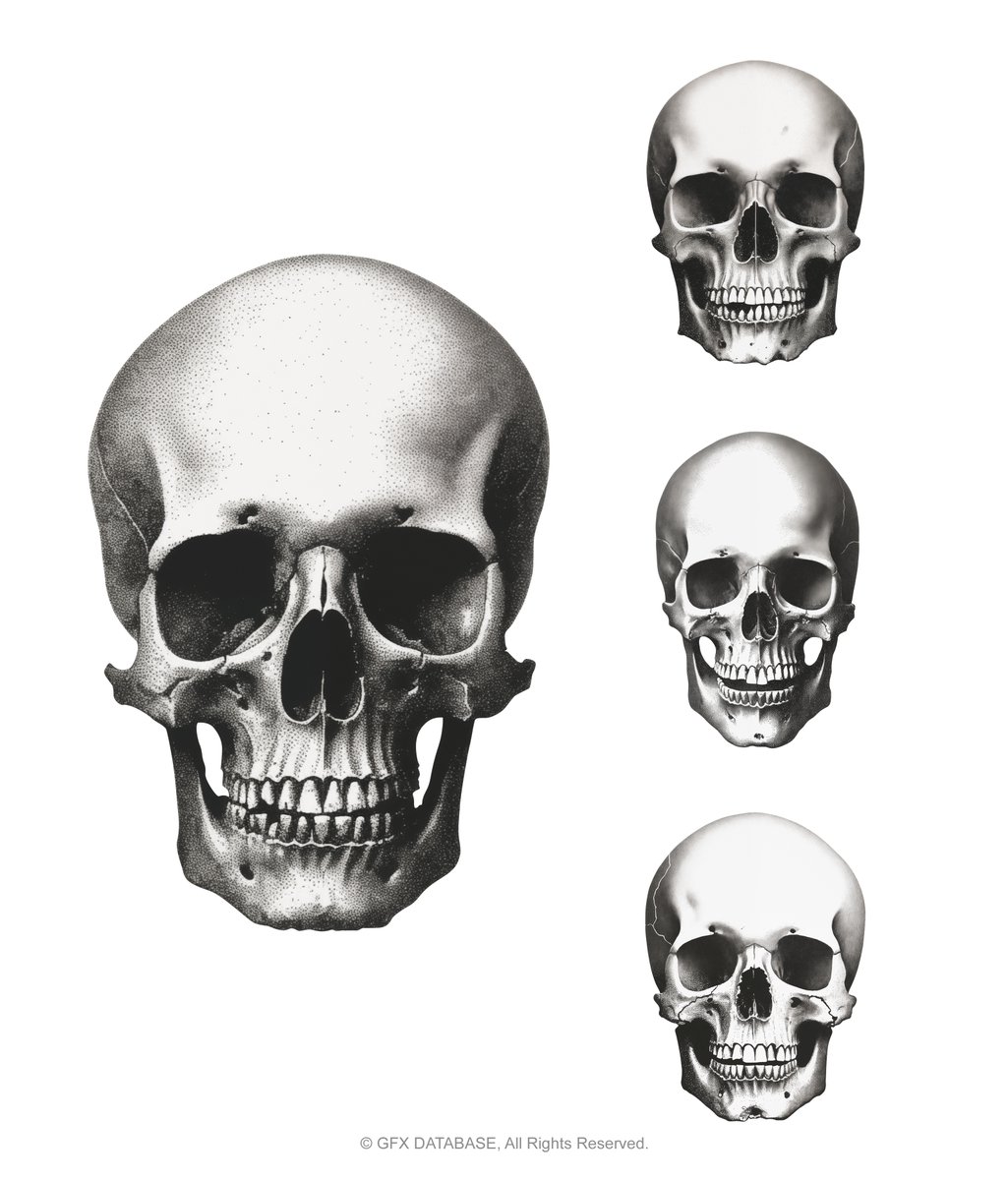 gfxdatabase's tweet image. Human Skulls, 💀 Now available online!
gfxdatabase.com/shop/p/human-s…