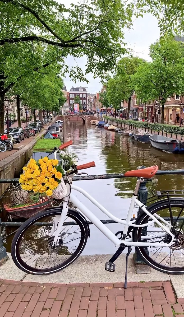 صباح يبعث في نبضكم أملا ويحيي شعوركم بالفرح، صباحكم تحقيق أمان لا تسعها أنفسكم.
 #صباح_الخير_والسعاده
 " إن تستفتحوا فقد جاءكم الفتح"
 لا يفتح الله أبواب الخير إلا لمن طرقها، فمن أقبل؛ أقبل
الله عليه، ومن أعرض؛ أعرض الله عنه .
*اللهم افتح لنا أبواب فضلك ورحمتك وكرمك*.
اللهم