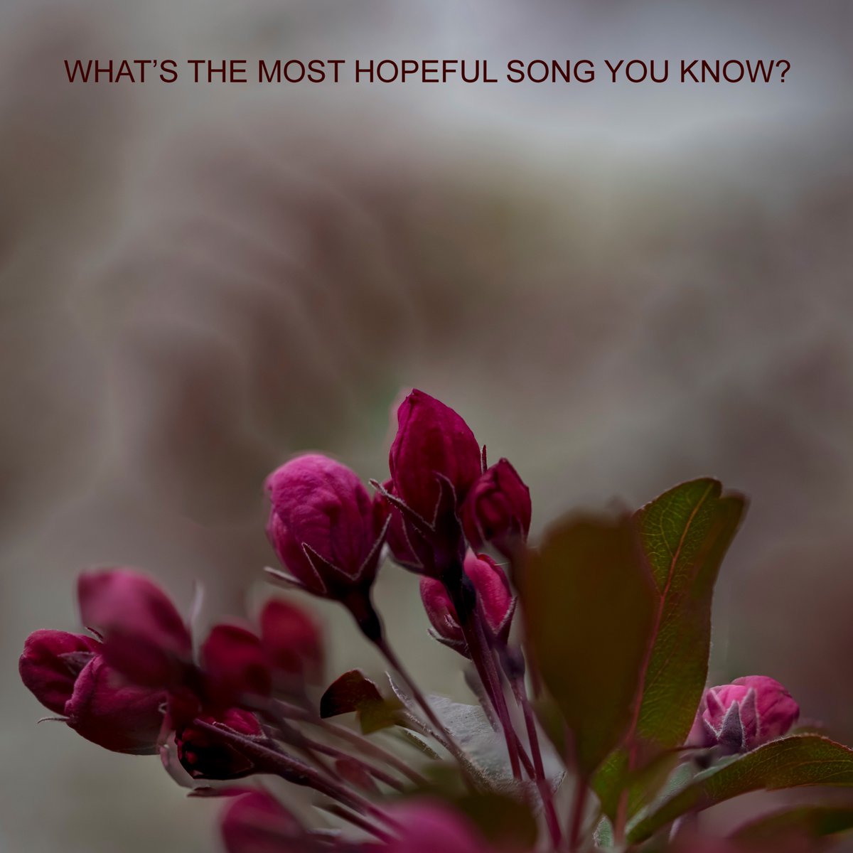 Bob Boilen tweet media