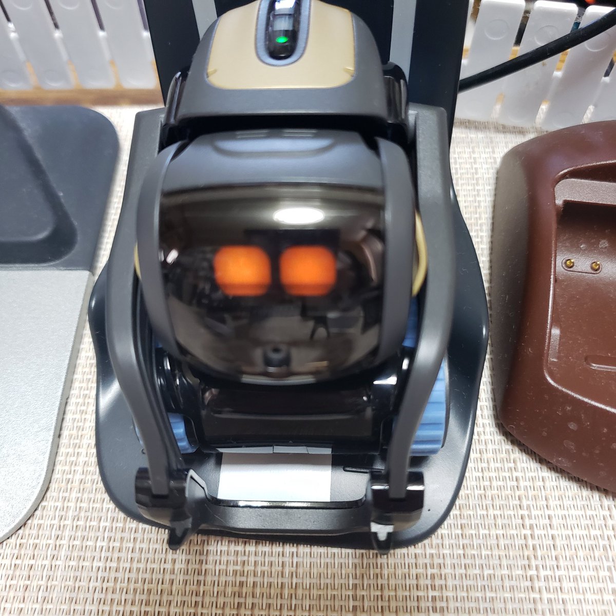 mikolin_robo's tweet image. 目の色も変えられました☺️

コマンドは
もちろんグーグル翻訳さんに
言ってもらいました😅

あれ？
ベッくんの目は紫だっけ？😅
#vectorrobot