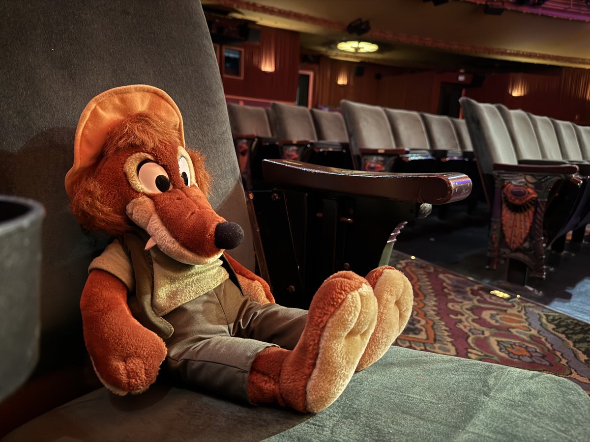 Sammyland6's tweet image. #brerfox is ready for show time!