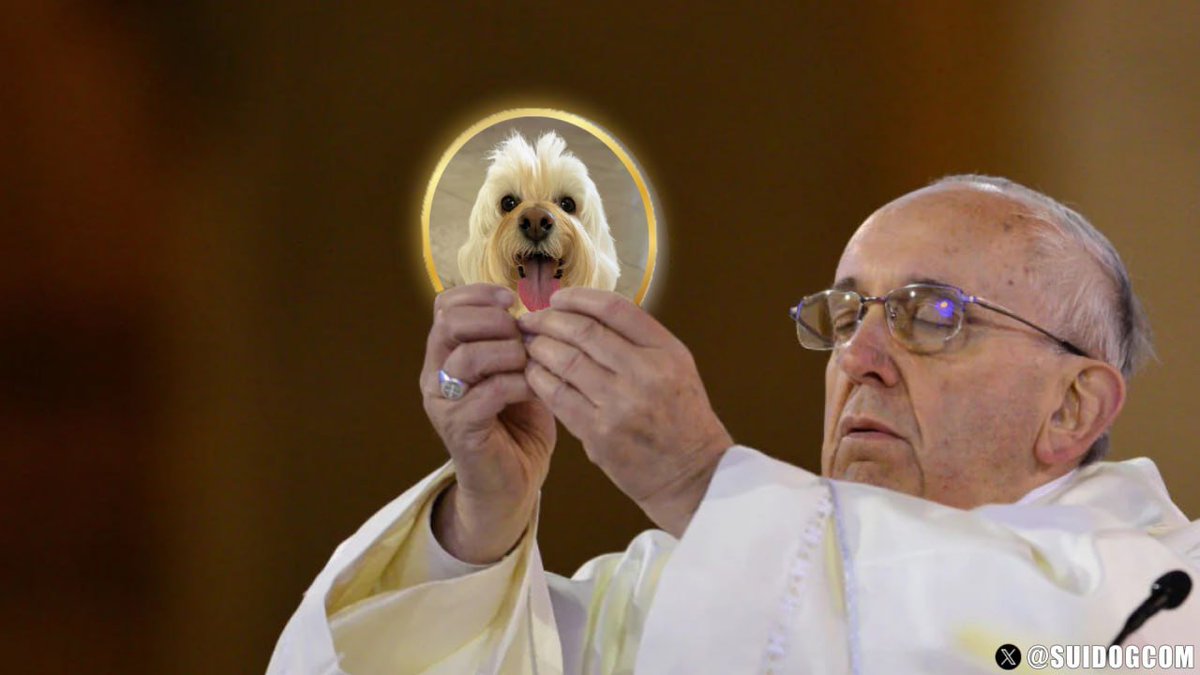 SUIDOG Fan Page tweet media