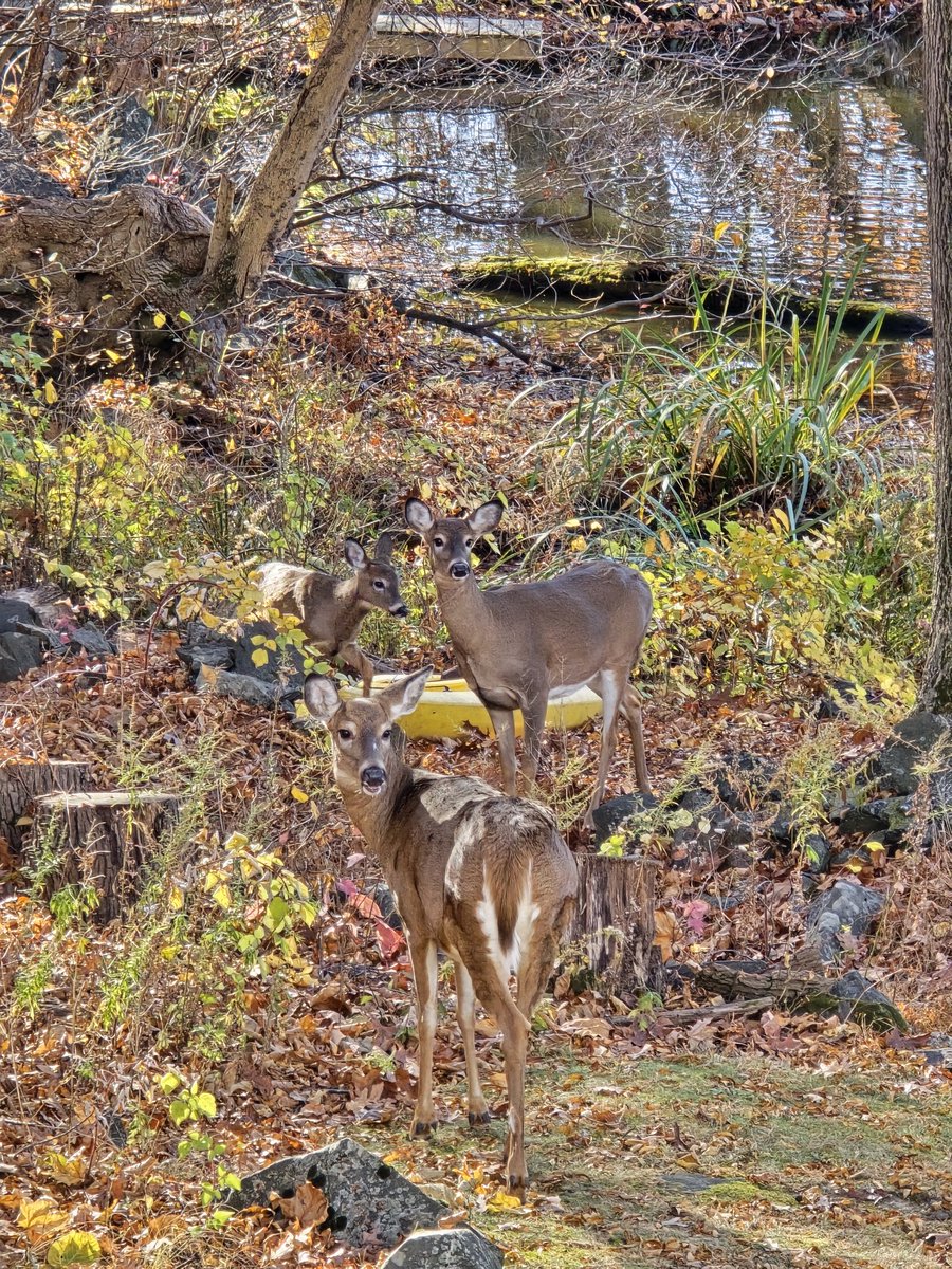 The baby got me 😭