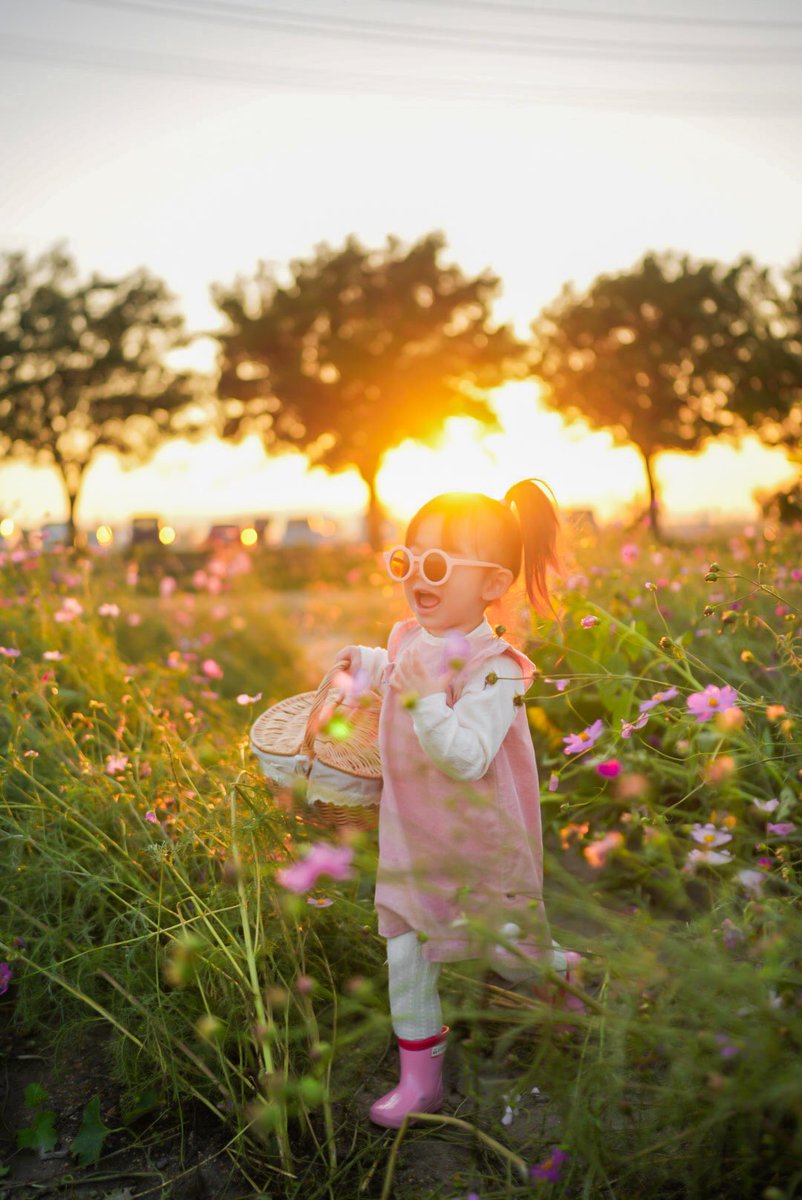 ayan03362768's tweet photo. 笠岡ベイファーム🥰🌸 https://t.co/HA57QEjHaE