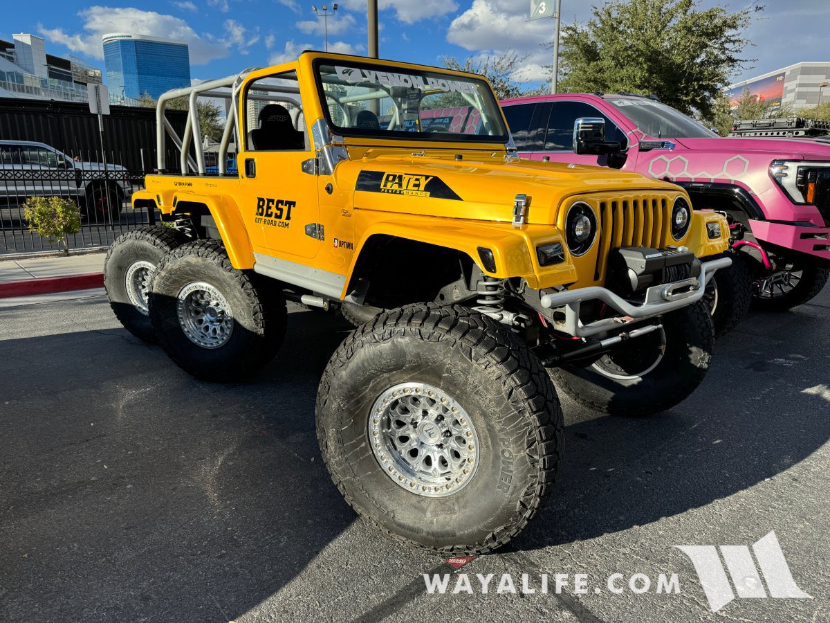 WAYALIFE tweet media