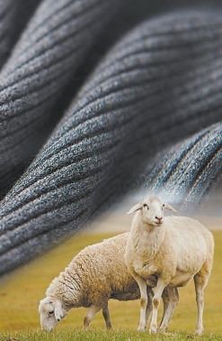 IPRinCN's tweet image. ✨Chinese cashmere brand #Erdos dazzled at @TheParisFashion, showcasing world-class quality and #innovation. 🌟👗The brand ranked 51st in China’s 500 Most Valuable Brands 2024 with a #brandvalue of 180.97 billion yuan ($ 25.4 billion). 💰

📊The origin place Ordos City that now