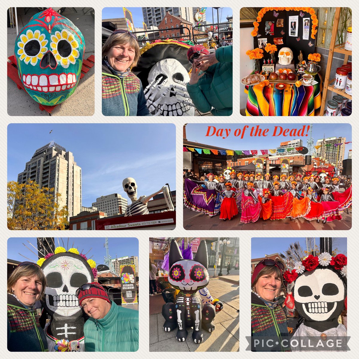 Deb Lawlor (she/her) tweet media