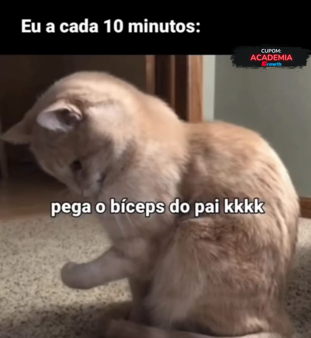academia fora de contexto (@foraacademia) on Twitter photo 