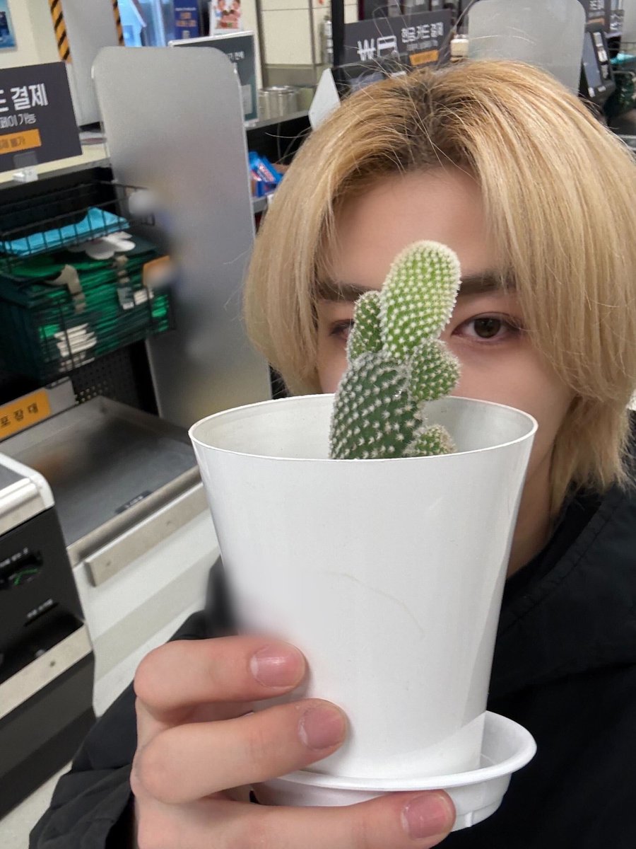 zzangleehan's tweet photo. 선인장 귀여워 🌵 https://t.co/n3rePdynBJ